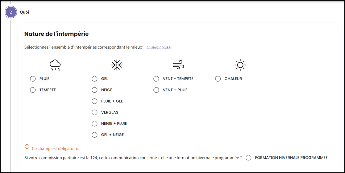 Screenshot to choose type of bad weather, which is compulsory. Icons of  raining cloud, snow flake, wind and sun.